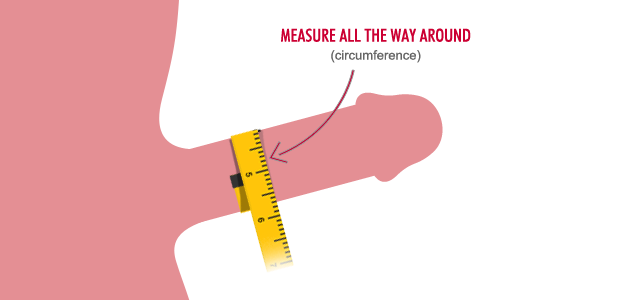 How To Measure The Size Of Your Penis 10