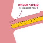 Average size for penis