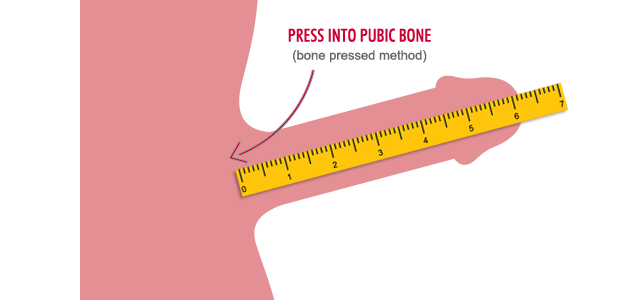 How To Measure The Penis 2